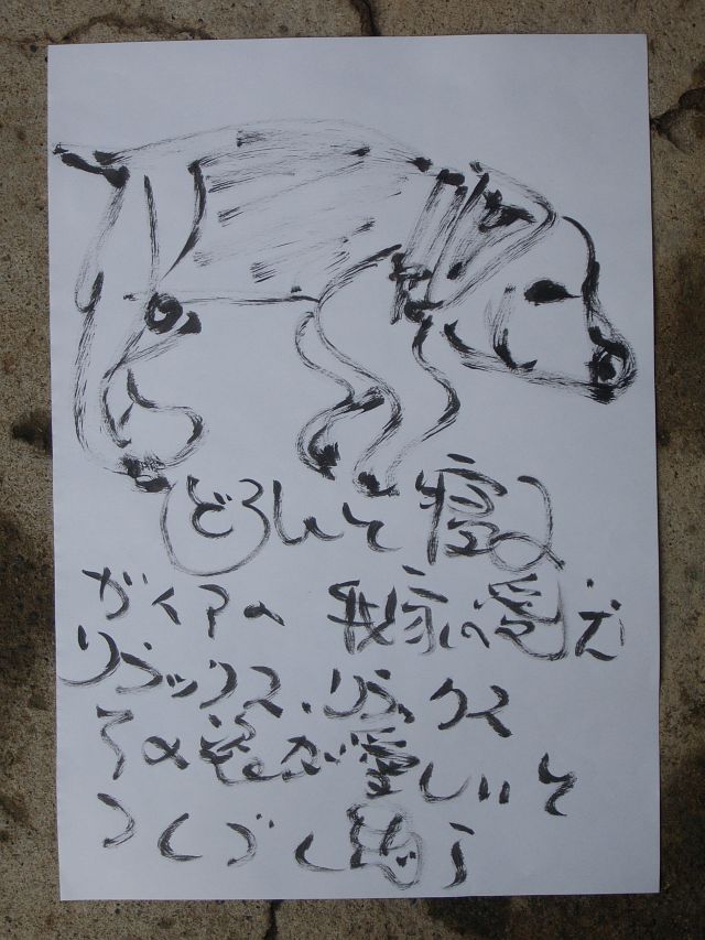 我が家の愛犬